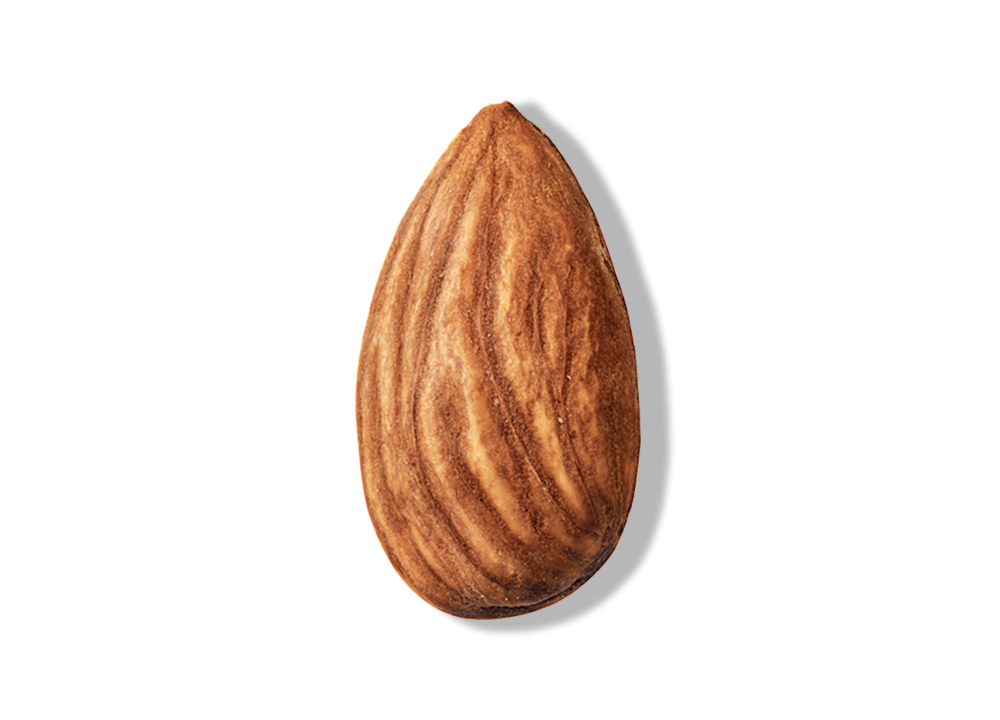 roasted_almond